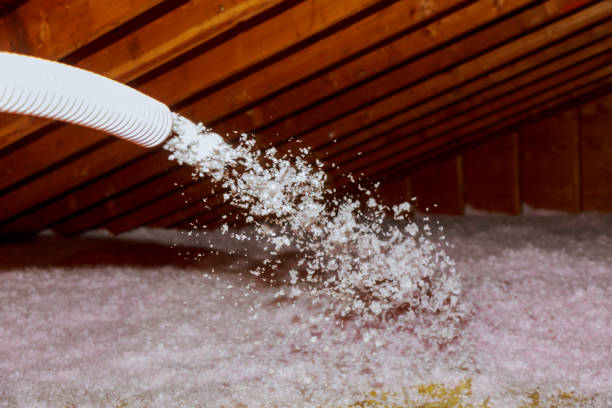 Best Local Insulation Services  in Broomfield, CO