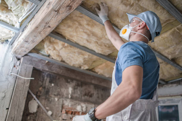 Best Energy-efficient Insulation  in Broomfield, CO